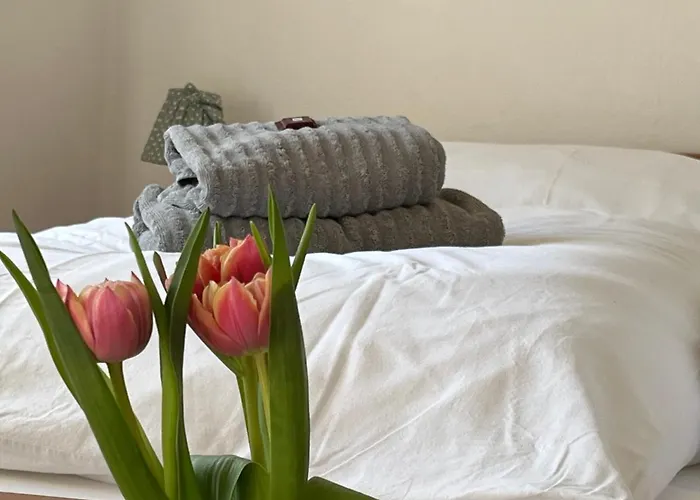 Casa de hóspedes Kitty 3*