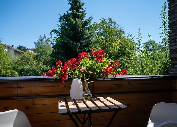 招待所 小猫宾馆 3*