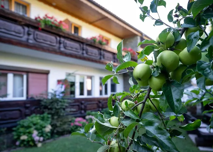 Kitty Casa de hóspedes