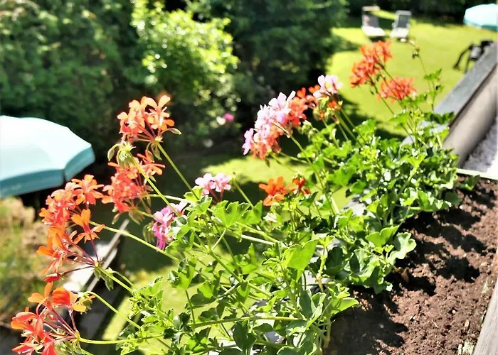 小猫宾馆 招待所 Pörtschach am Wörthersee